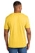 Gildan 64000CVC Mens Softstyle CVC Short Sleeve Crewneck T-Shirt Daisy Mist Yellow Model Back