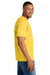 Gildan 64000CVC Mens Softstyle CVC Short Sleeve Crewneck T-Shirt Daisy Mist Yellow Model Side