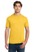 Gildan 64000 Mens Softstyle Short Sleeve Crewneck T-Shirt Daisy Yellow Model Front