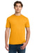 Gildan 64000 Mens Softstyle Short Sleeve Crewneck T-Shirt Gold Model Front