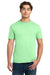 Gildan 64000 Mens Softstyle Short Sleeve Crewneck T-Shirt Mint Green Model Front