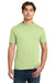 Gildan 64000 Mens Softstyle Short Sleeve Crewneck T-Shirt Pistachio Green Model Front