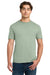 Gildan 64000 Mens Softstyle Short Sleeve Crewneck T-Shirt Sage Green Model Front