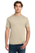 Gildan 64000 Mens Softstyle Short Sleeve Crewneck T-Shirt Sand Model Front