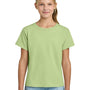 Gildan Youth Short Sleeve Crewneck T-Shirt - Pistachio Green