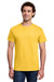 Gildan 3000 Mens Short Sleeve Crewneck T-Shirt Daisy Yellow Model Front