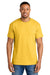 Gildan 8000 Mens DryBlend Moisture Wicking Short Sleeve Crewneck T-Shirt Daisy Yellow Model Front