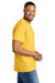 Gildan 8000 Mens DryBlend Moisture Wicking Short Sleeve Crewneck T-Shirt Daisy Yellow Model Side