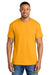 Gildan 8000 Mens DryBlend Moisture Wicking Short Sleeve Crewneck T-Shirt Gold Model Front