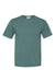 Champion CD100 Mens Garment Dyed Short Sleeve Crewneck T-Shirt Cactus Green Flat Front
