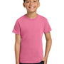 Comfort Colors Youth Short Sleeve Crewneck T-Shirt - Crunchberry Pink