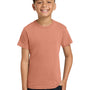Comfort Colors Youth Short Sleeve Crewneck T-Shirt - Terracota