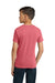Comfort Colors 9018 Youth Short Sleeve Crewneck T-Shirt Watermelon Model Back