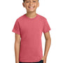 Comfort Colors Youth Short Sleeve Crewneck T-Shirt - Watermelon