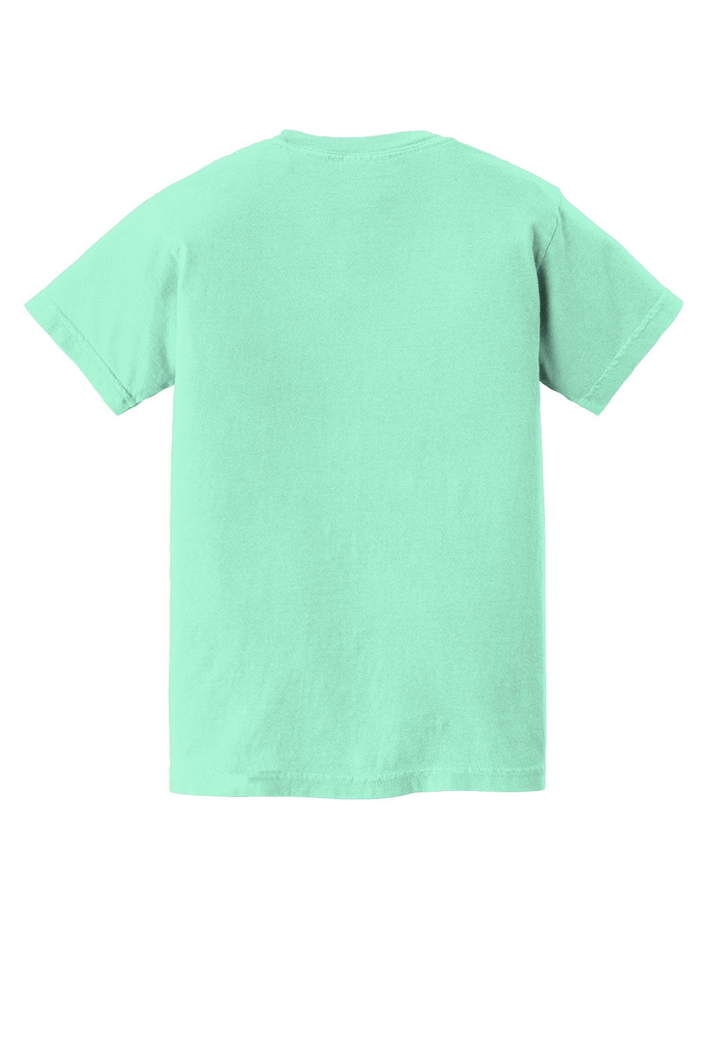 Comfort Colors 9018 Youth Short Sleeve Crewneck T-Shirt Island Reef Green Flat Back