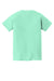 Comfort Colors 9018 Youth Short Sleeve Crewneck T-Shirt Island Reef Green Flat Back