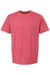 Kastlfel 2010 Mens Recycled Soft Short Sleeve Crewneck T-Shirt Red Flat Front