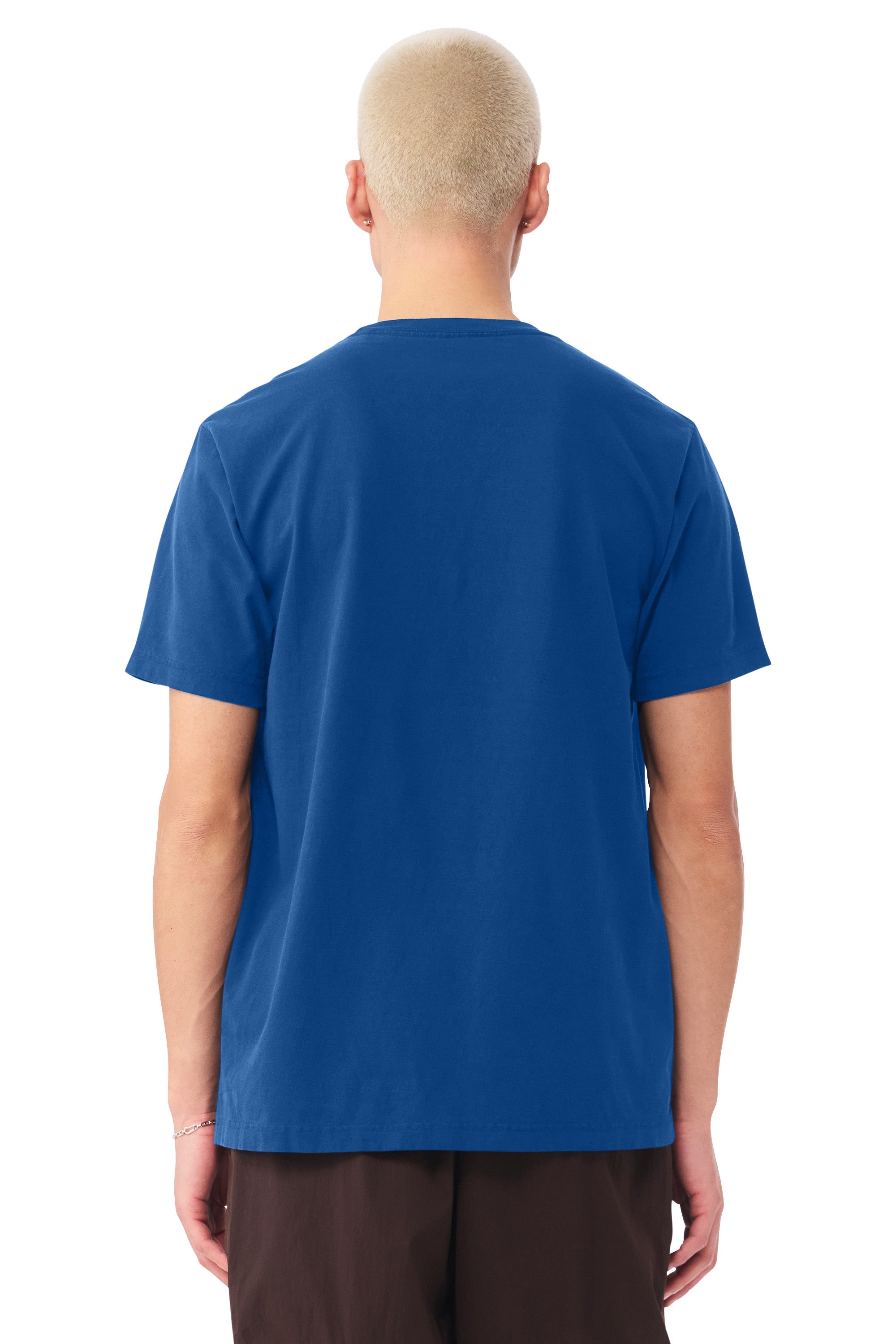 Bella + Canvas BC4810GD Mens Garment Dyed Short Sleeve Crewneck T-Shirt Royal Blue Model Back