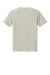 Bella + Canvas BC4810GD Mens Garment Dyed Short Sleeve Crewneck T-Shirt Washed Thyme Flat Back