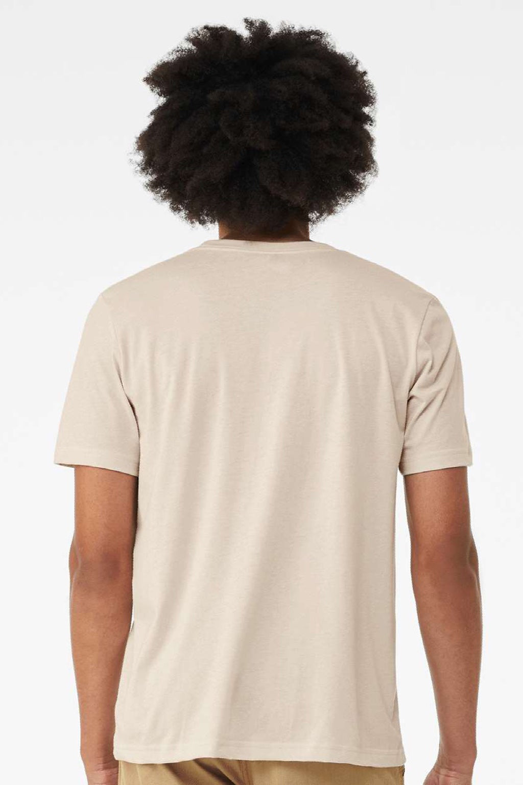 Bella + Canvas BC3001/3001 Mens Jersey Short Sleeve Crewneck T-Shirt Dust Model Back