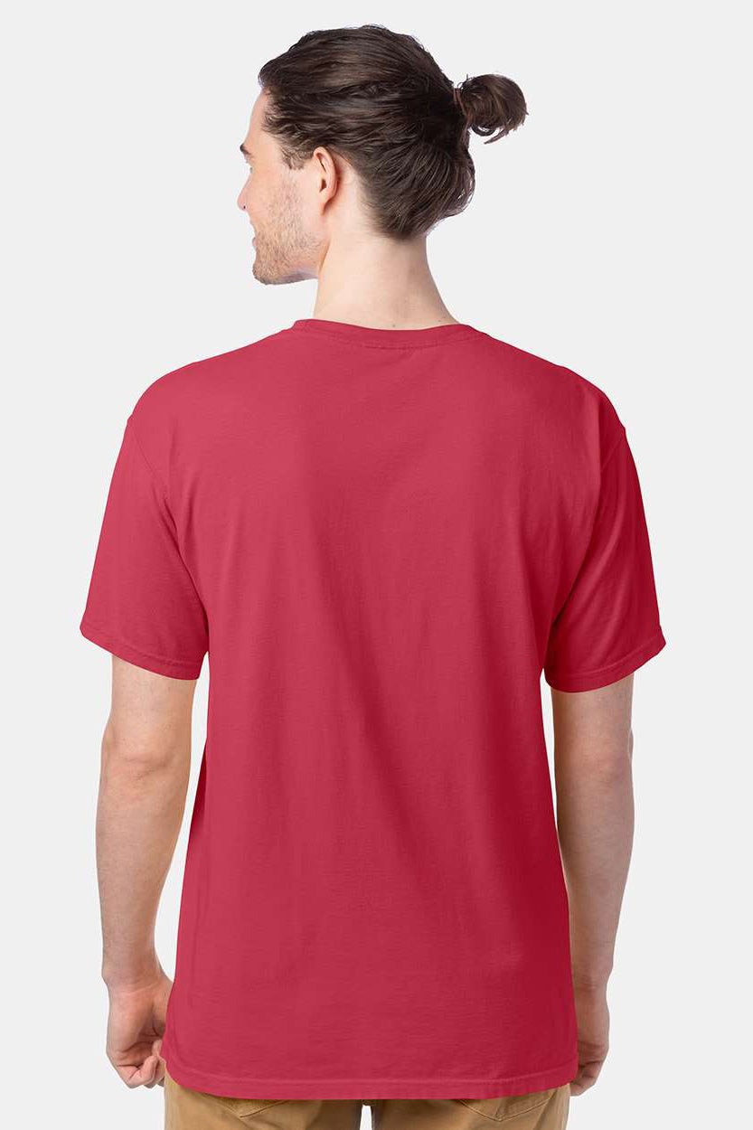 ComfortWash By Hanes GDH100 Mens Short Sleeve Crewneck T-Shirt Crimson Fall Model Back