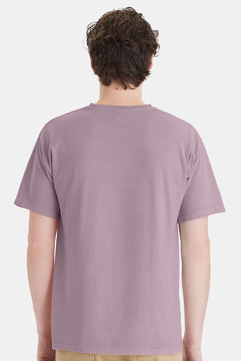 ComfortWash By Hanes GDH11B Mens Botanical Dyed Short Sleeve Crewneck T-Shirt Botanical Nimbus Model Back