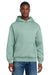 District DT6150 Mens V.I.T. Fleece Hooded Sweatshirt Hoodie Dusty Sage Green Model Front