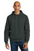 District DT6600 Mens V.I.T. Heavyweight Fleece Hooded Sweatshirt Hoodie w/ Pouch Pocket Charcoal Grey Model Front