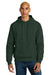District DT6600 Mens V.I.T. Heavyweight Fleece Hooded Sweatshirt Hoodie w/ Pouch Pocket Forest Green Model Front