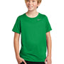 Nike Youth Team rLegend Dri-Fit Moisure Wicking Short Sleeve Crewneck T-Shirt - Apple Green