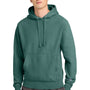 Champion Mens Reverse Weave Garment Dyed Hooded Sweatshirt Hoodie w/ Pouch Pocket - Cactus Green
