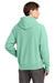 Champion GDS101 Mens Reverse Weave Garment Dyed Hooded Sweatshirt Hoodie w/ Pouch Pocket Pale Seafoam Green Model Back
