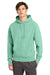 Champion GDS101 Mens Reverse Weave Garment Dyed Hooded Sweatshirt Hoodie w/ Pouch Pocket Pale Seafoam Green Model Front