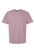 Gildan 65000 Mens Softstyle Short Sleeve Crewneck T-Shirt Paragon Flat Front