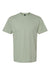 Gildan 65000 Mens Softstyle Short Sleeve Crewneck T-Shirt Sage Green Flat Front