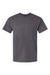 Hanes 42TB Mens Perfect-T Moisture Wicking Short Sleeve Crewneck T-Shirt Dada Grey Flat Front
