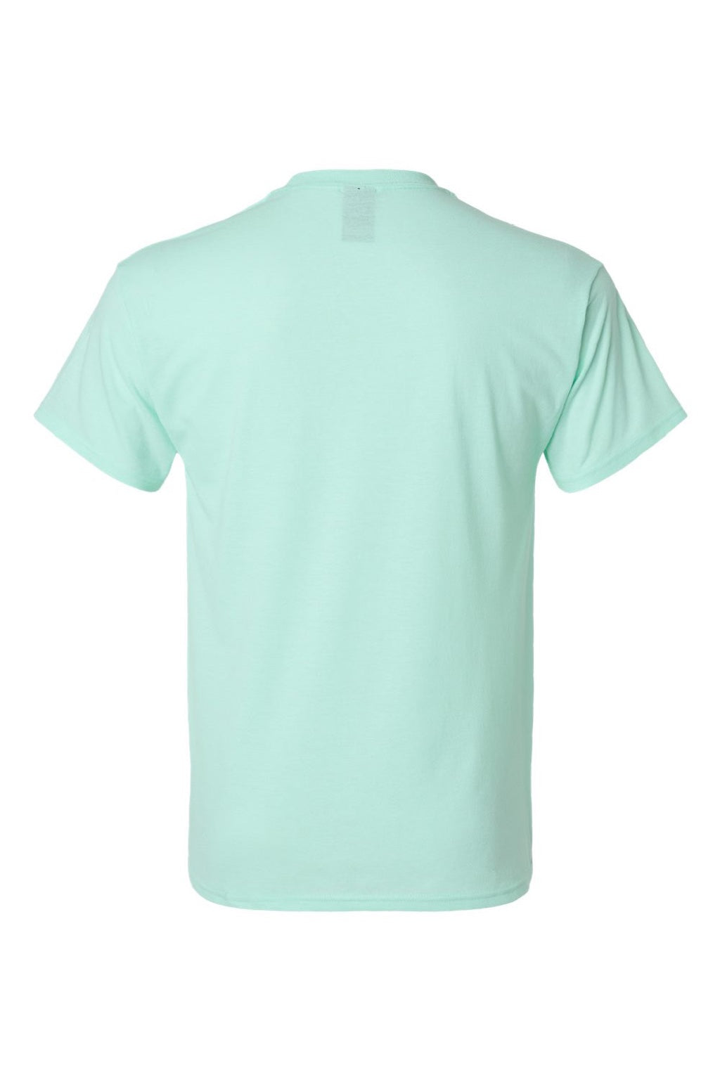 Hanes 42TB Mens Perfect-T Moisture Wicking Short Sleeve Crewneck T-Shirt Heather Ice Fall Flat Back