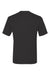 Hanes 4820 Mens Cool DRI Moisture Wicking Short Sleeve Crewneck T-Shirt Black Flat Back