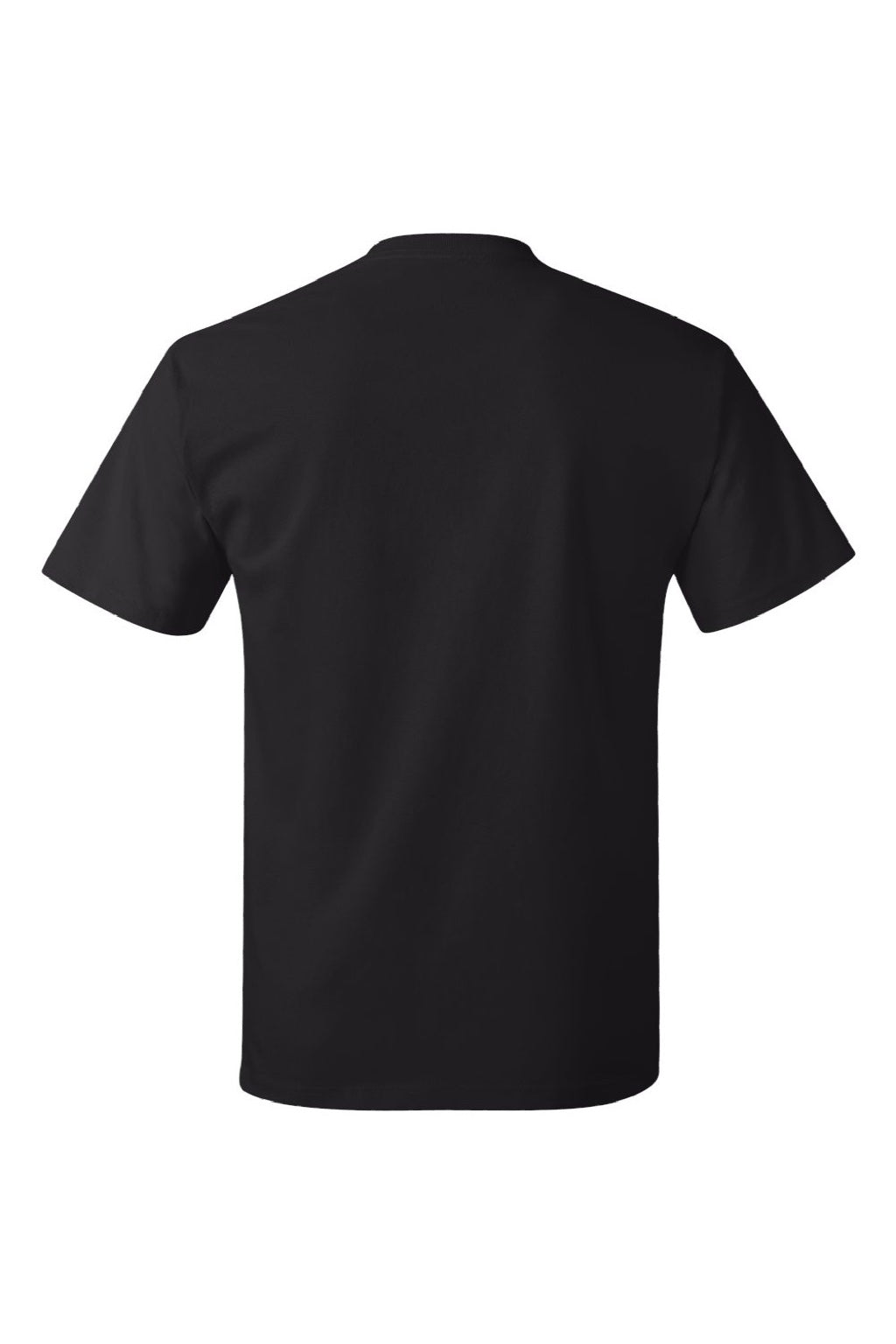 Hanes 5250 Mens Authentic Short Sleeve Crewneck T-Shirt Black Flat Back