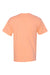 Hanes 5250 Mens Authentic Short Sleeve Crewneck T-Shirt Candy Orange Flat Back