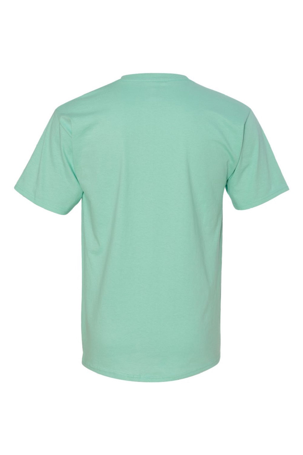 Hanes 5250 Mens Authentic Short Sleeve Crewneck T-Shirt Clean Mint Green Flat Back