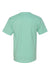 Hanes 5250 Mens Authentic Short Sleeve Crewneck T-Shirt Clean Mint Green Flat Back