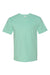 Hanes 5250 Mens Authentic Short Sleeve Crewneck T-Shirt Clean Mint Green Flat Front