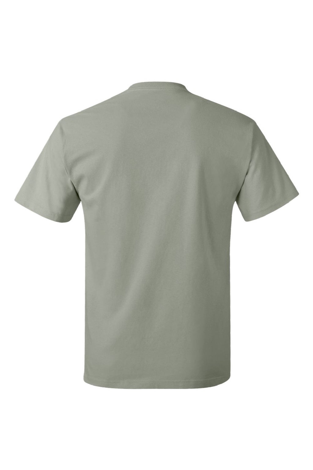 Hanes 5250 Mens Authentic Short Sleeve Crewneck T-Shirt Stonewashed Green Flat Back