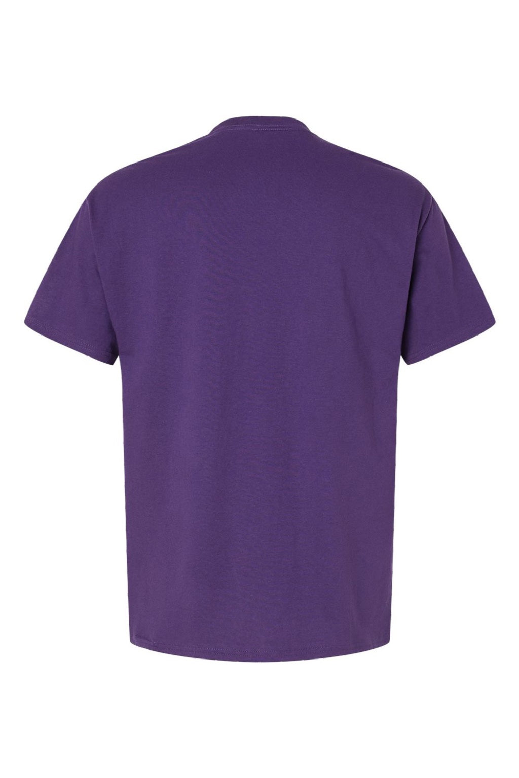 Hanes 5280 Mens Essential-T Short Sleeve Crewneck T-Shirt Athletic Purple Flat Back