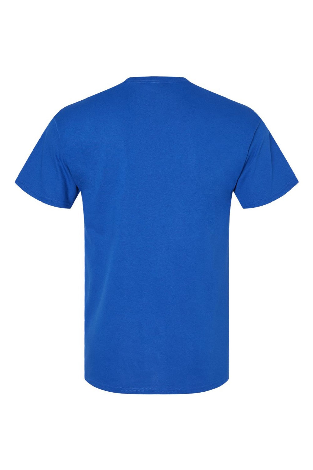 Hanes 5280 Mens Essential-T Short Sleeve Crewneck T-Shirt Athletic Royal Blue Flat Back