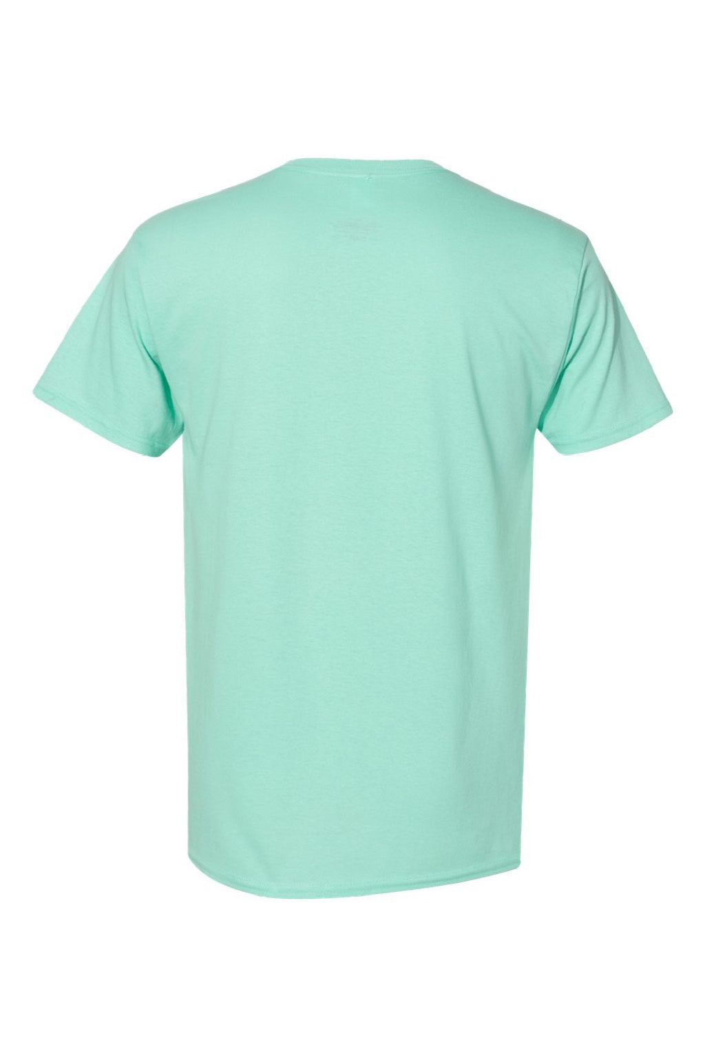 Hanes 5280 Mens Essential-T Short Sleeve Crewneck T-Shirt Clean Mint Green Flat Back