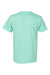 Hanes 5280 Mens Essential-T Short Sleeve Crewneck T-Shirt Clean Mint Green Flat Back