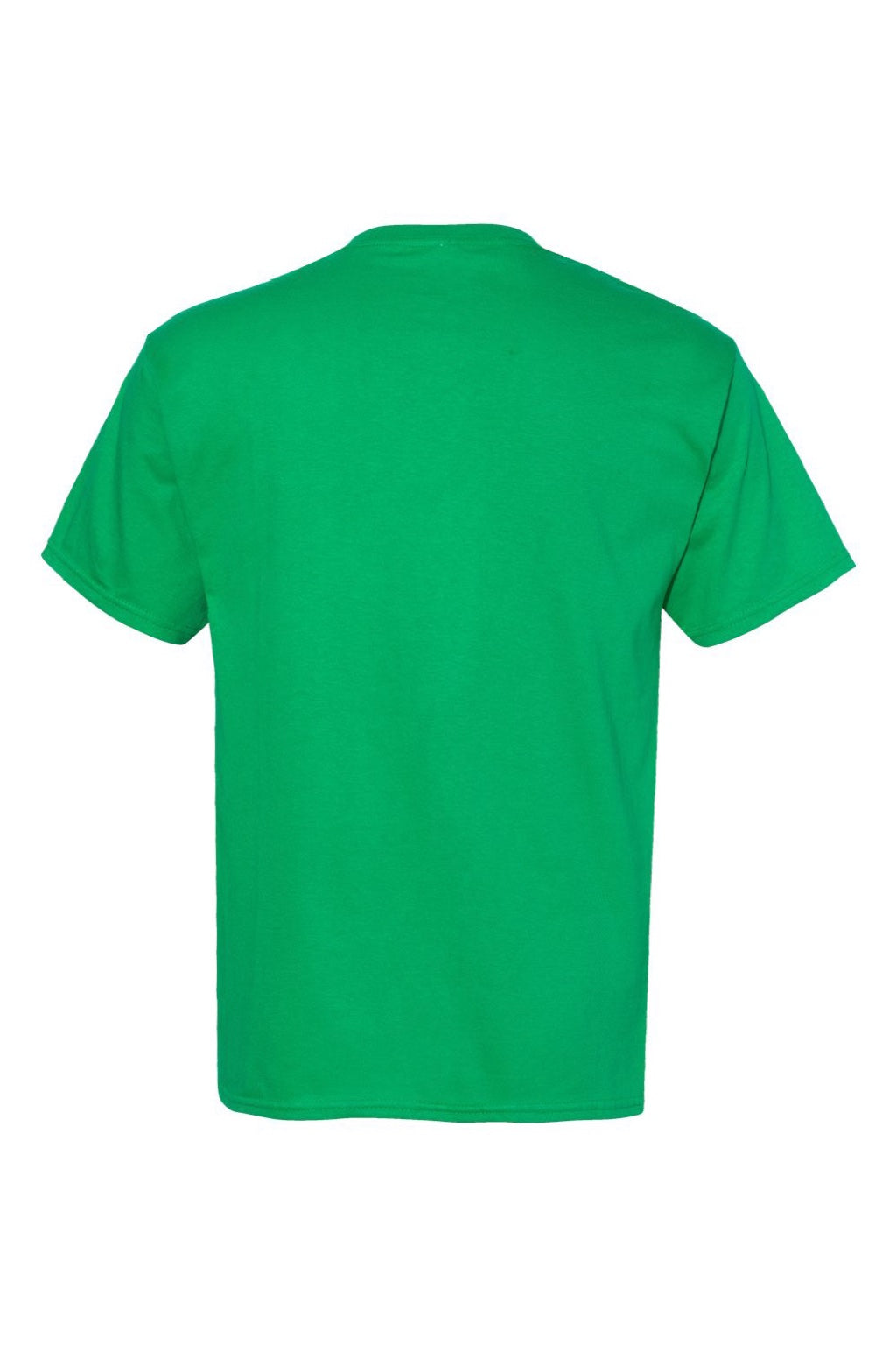 Hanes 5280 Mens Essential-T Short Sleeve Crewneck T-Shirt Kelly Green Flat Back