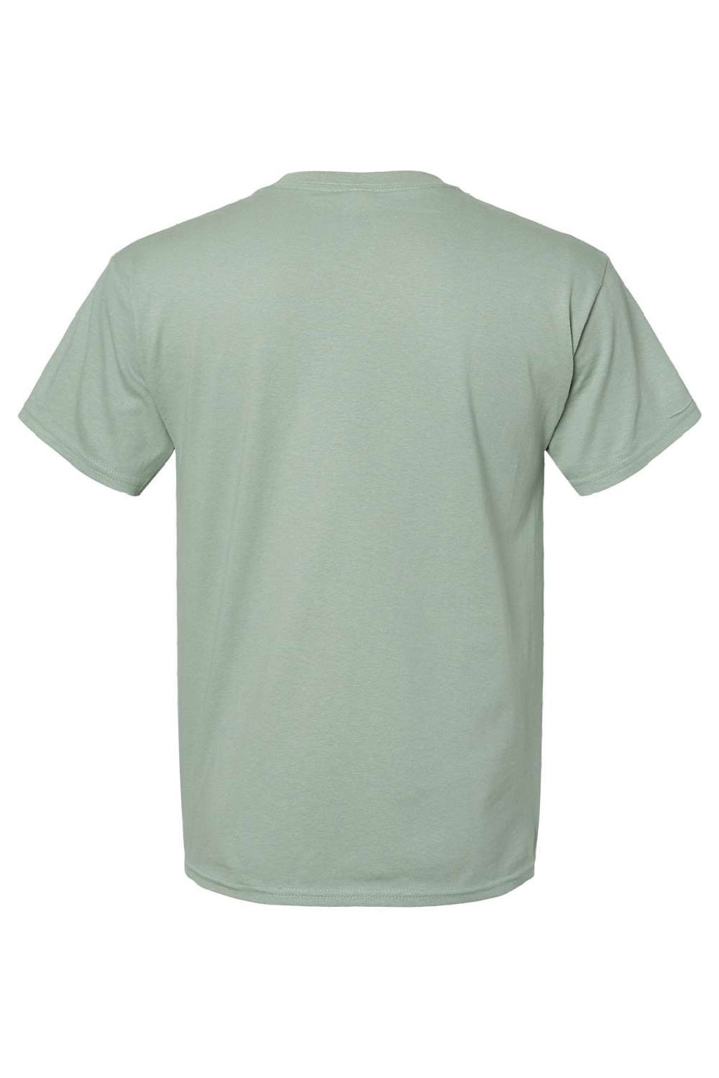 Hanes 5280 Mens Essential-T Short Sleeve Crewneck T-Shirt Stonewashed Green Flat Back